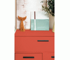 MATT PAINT MP-04 CHINESSE RED